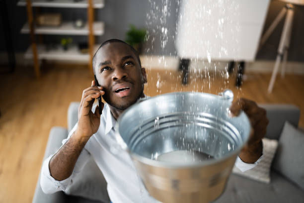 Best Water damage contractors near me  in Morongo Valley, CA