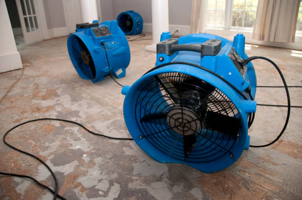 Best Flood damage cleanup  in Morongo Valley, CA