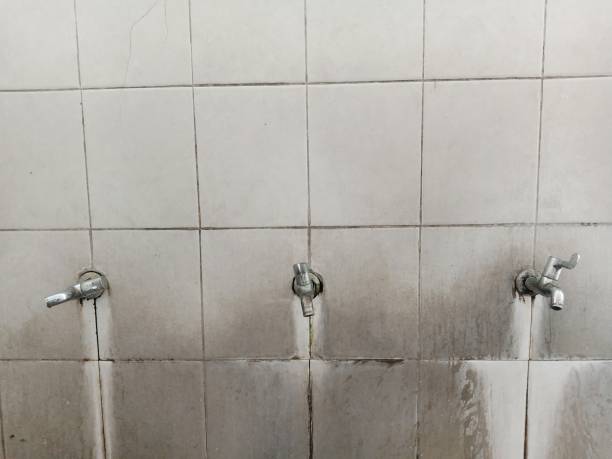 Best Ceiling water damage repair  in Morongo Valley, CA
