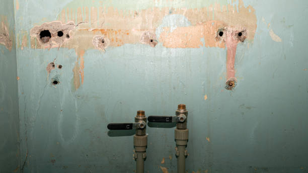 Best Basement water damage restoration  in Morongo Valley, CA