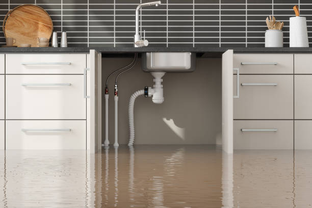 Best Commercial water damage restoration  in Morongo Valley, CA